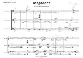 Megadont A4 z 9